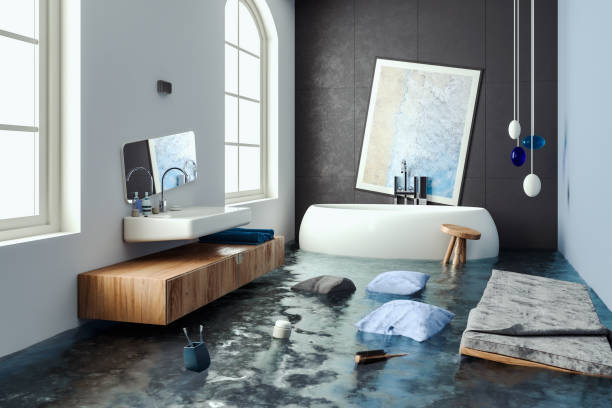 Best Flooded house restoration  in Lake Sarasota, FL