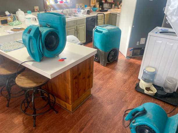 Sewage cleanup and water damage restoration in Lake Sarasota, FL