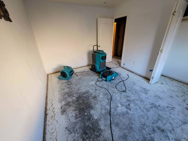 Best 24/7 water damage repair  in Lake Sarasota, FL