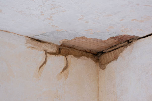 Best Water damage restoration near me  in Lake Sarasota, FL