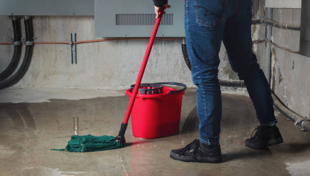 Best Carpet water damage restoration  in Lake Sarasota, FL