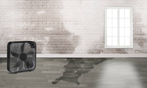 Best Emergency water damage restoration  in Lake Sarasota, FL