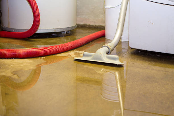 Best Water damage restoration process  in Lake Sarasota, FL