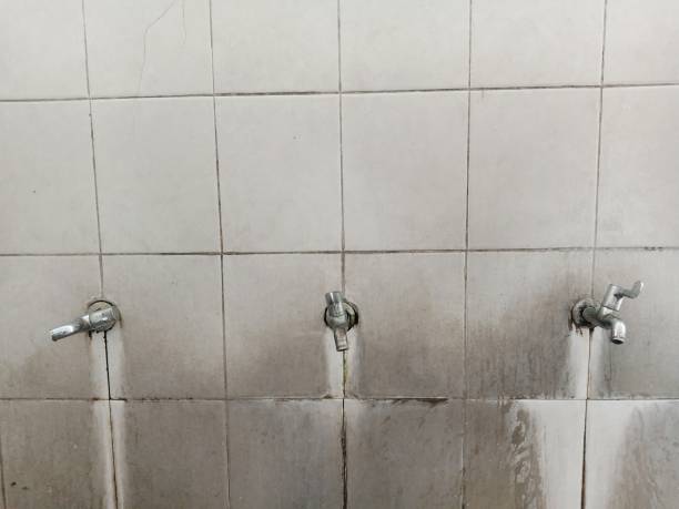  Lake Sarasota, FL Water damage restoration Pros