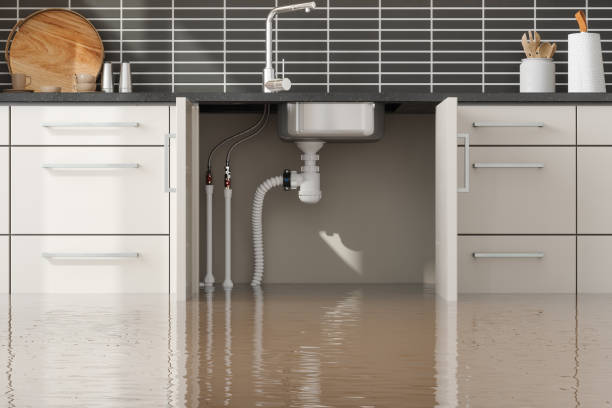 Best Water damage restoration near me  in Lake Sarasota, FL