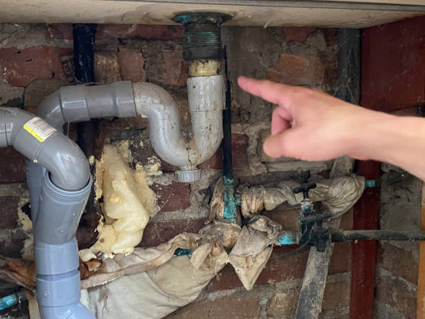 Best Sewage cleanup and water damage restoration  in Lake Sarasota, FL