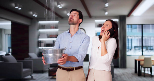 Best 24-hour water damage restoration  in Lake Sarasota, FL