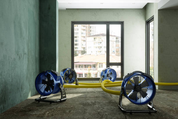 Best Flood restoration services  in Lake Sarasota, FL