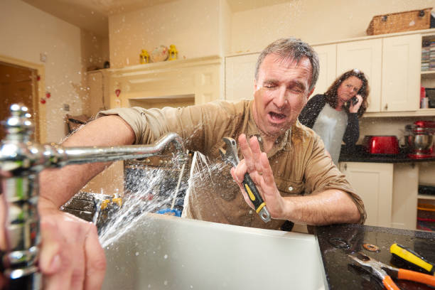 Best Water damage restoration insurance claims  in Lake Sarasota, FL